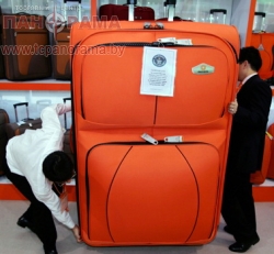 Купить чемодан в Могилеве