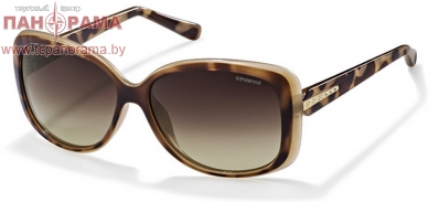 солнцезащитные очки в могилеве