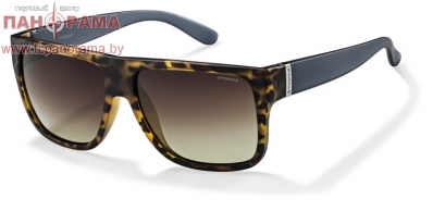 солнцезащитные очки в могилеве